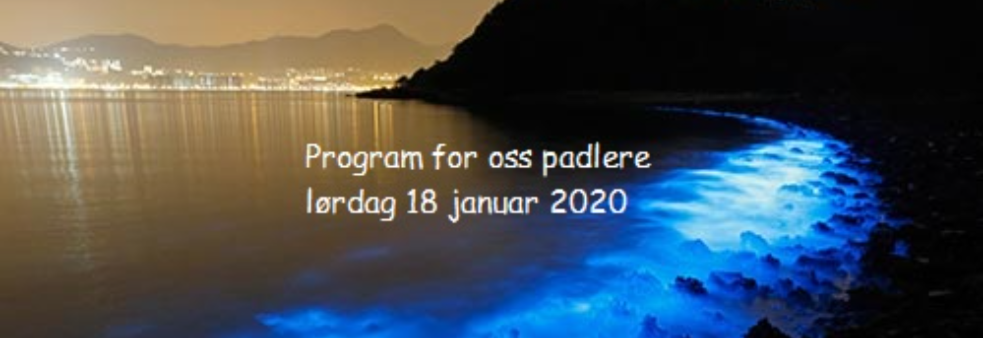 Program for padlere til Bergen Lights Festival